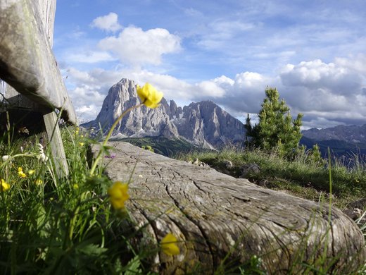 Escursioni a Selva di Val Gardena Escursioni a Selva di Val Gardena